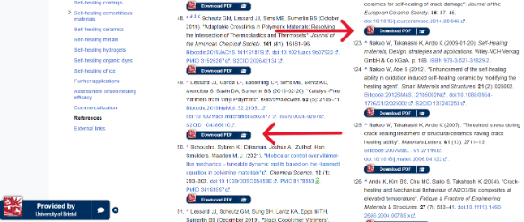 Screenshot of LibKey on Wikipedia
